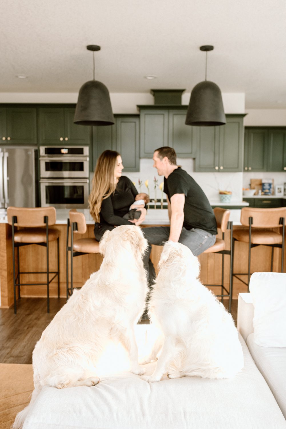 two parents sit at the kitchen bar with their newborn baby while their two dogs look on at them
