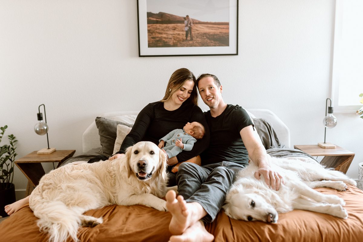 two parents snuggle on a bed with their newborn baby and two dogs